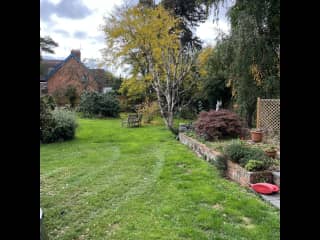 my lawn