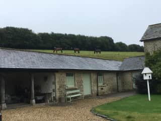 Outbuildings at the back of the house