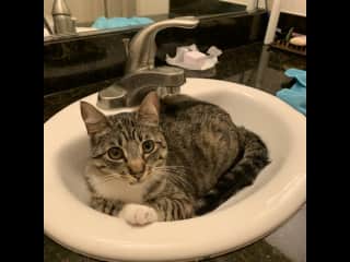 For relaxing, right?
