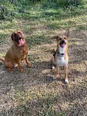 Dia de parque con un amigo que estuvimos cuidando mientras su mamá estaba de viaje por trabajo.
