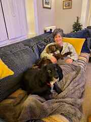 Cuddle time with Nellie and Bella!