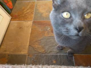 ChiChi making it hard to take a decent picture!