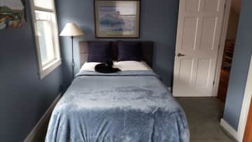 Guest bedroom (currently occupied by Zipper)