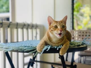 Happy guy loves to be both indoors and outside!