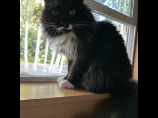 A favorite perch