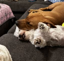 She loves to snuggle
