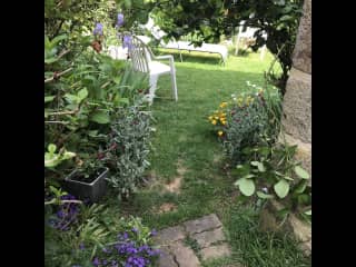 Little garden with loungers and seating.