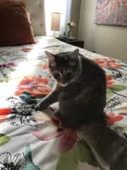 Melly (Sausalito, CA)