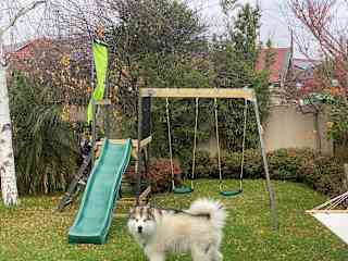 Backyard play-set