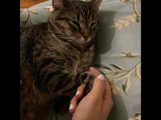 Nala is my sweet girl. She is never demanding and just tender all around.