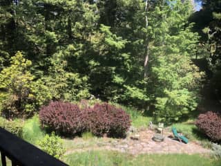 Garden view from living room deck