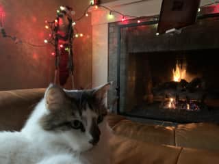 Cozy gas fireplace.