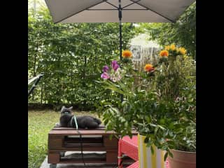Private garden