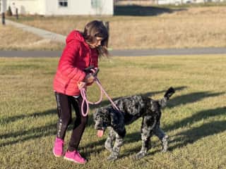 The dog who made us fall in love with dogs. Our favorite…Opal.