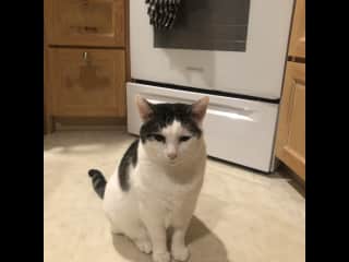 Waiting for dinner….