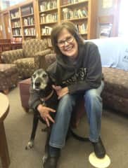 One of my first dog sitting clients, Lily, who enjoyed coming to work with me.