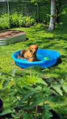 loves her pool on hot summer days