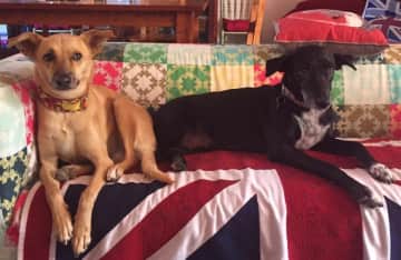 Peggy and Hattie