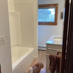 Downstairs bath with kitty photobomb