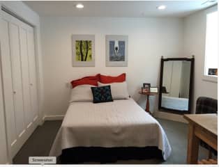 Guest bedroom in the basement with full bed.