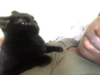 Xoco and I slept like this most nights