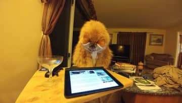 Reading anything good?