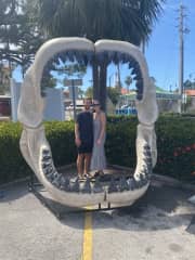 Love finding random activities in different cities! This was the shark tooth festival in Venice Beach, Florida