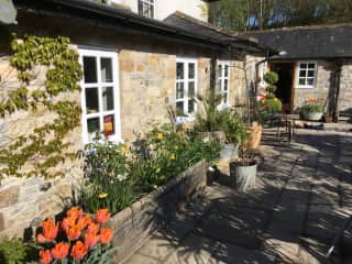 Back of the house, door and terrace