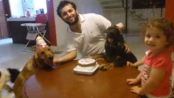 8 years ago celebrating Honey and Roda's first birthday with a special doggie cake