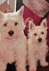 Butter wouldn't melt !