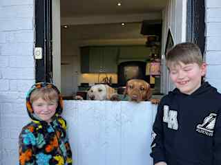 House sit in Ascot (Mimi and Daisy)