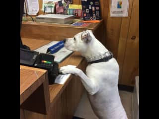 Ordering stamps from her favorite postmaster