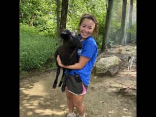 Renée is holding a young jacobs sheep at her zookeeper internship.