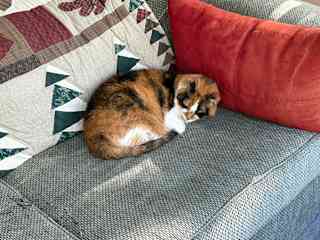 She sleeps alot