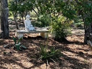 Our yard is very private with a zen feel and lots of birds and wildlife.