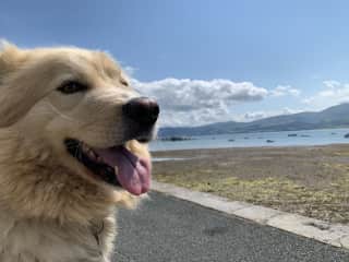Alfie’s local beach