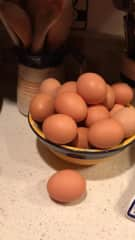 Fresh eggs from our chickens