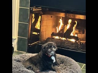 Posing in front of the fire on one of their five beds.