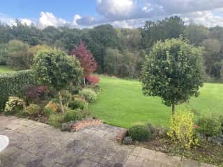 garden