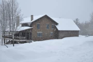 Backyard in winter