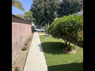 Common/shared yard and street parking