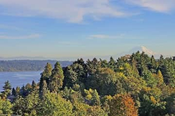 view of Mt Rainier and Lake Washington from our front porch