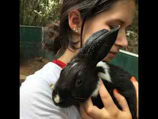 Looking after rabbits