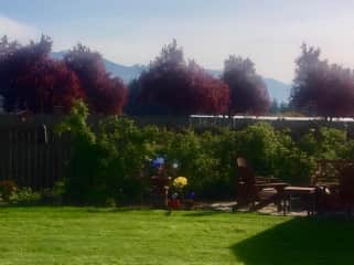 Backyard with Olympics in the background