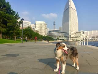 Summit in Minato Mirai.