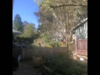 More of the back yard. The building on the right is a sometimes occupied cottage. The greenhouse is visible behind the office building.