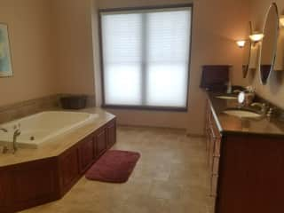 Master bath with jacuzzi tub