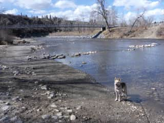 Sandy Beach at Elbow River.