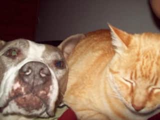 Little Mama and Mr Marley cat