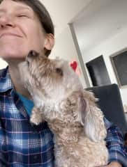 Staying with Stella